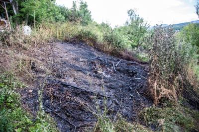 Nuertingen: Gruenschnittverbrennung loest Feuerwehreinsatz aus